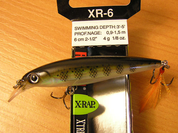X-Rap 06
