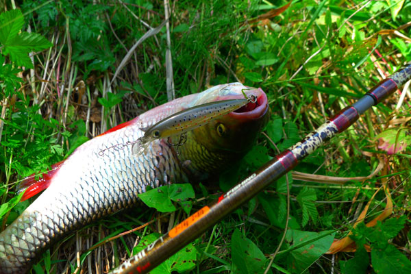 rapala воблер