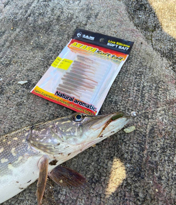 mini worms 