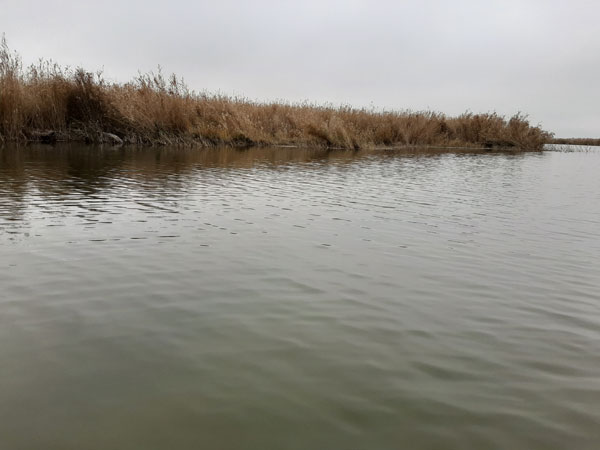 ставропольский край