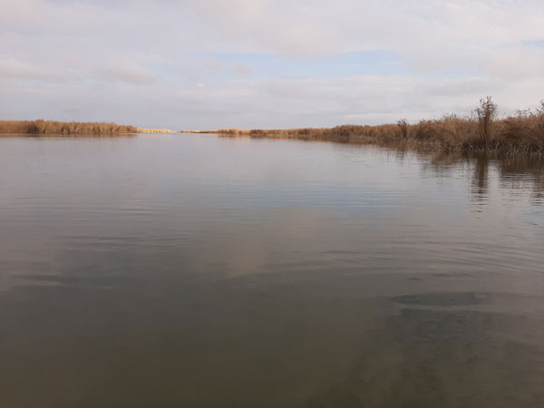 Ставрополье рыбалка
