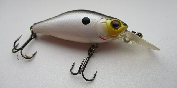 Kosadaka Raven XS 55F