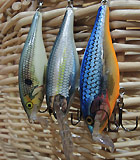 отзывы rapala