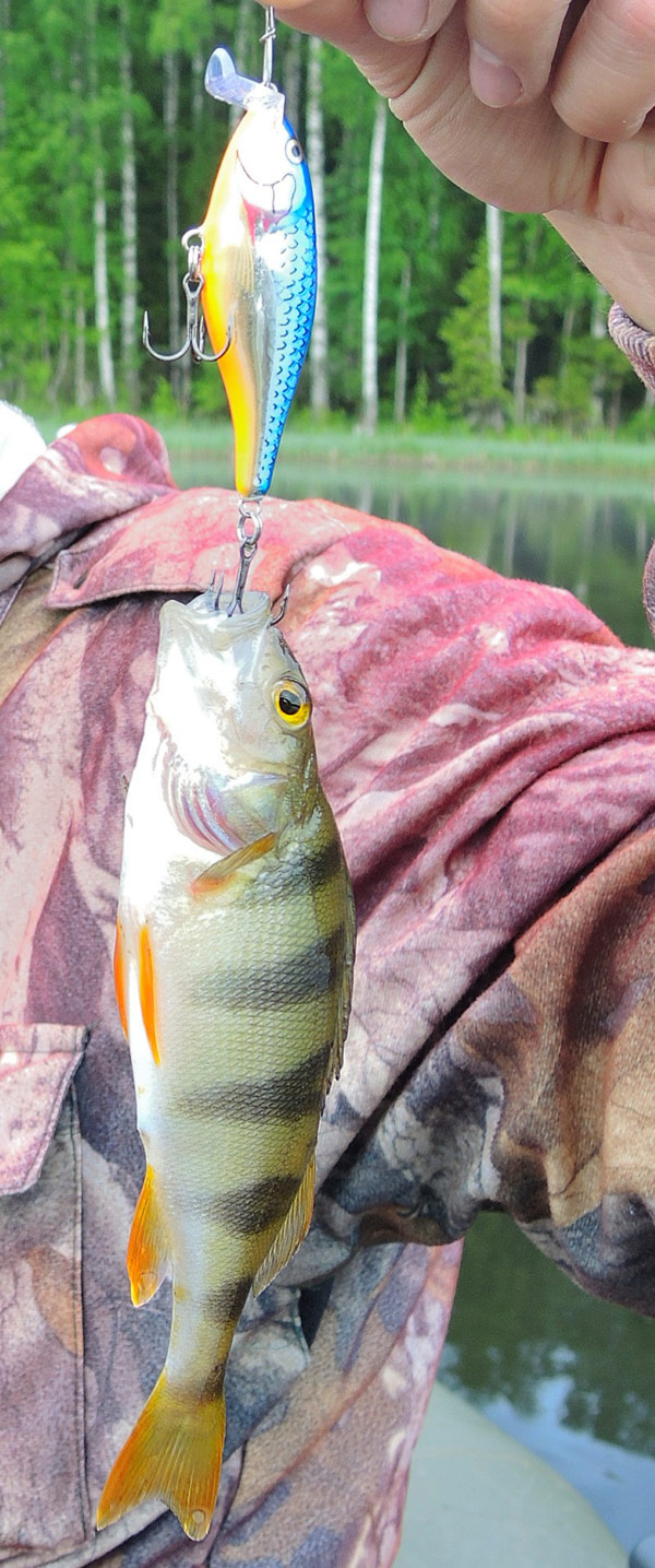 оунь на rapala