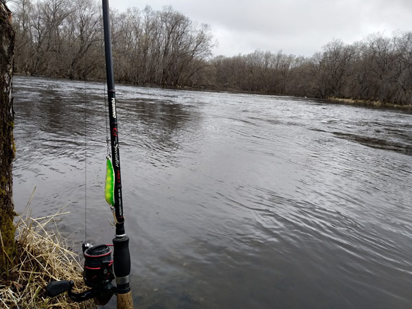 salmon baits 4b