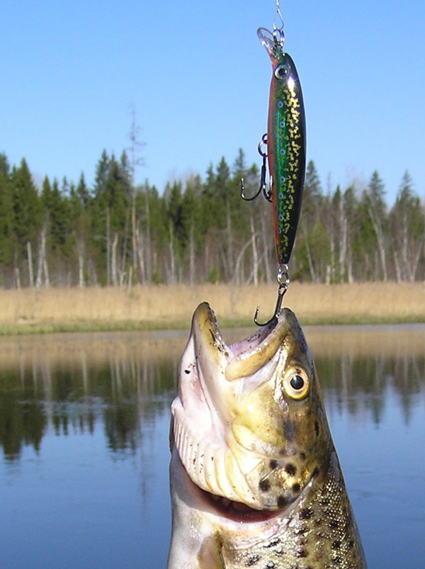 rapala приманки