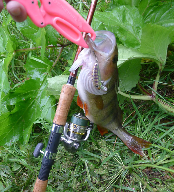 уловистый YoZuri Minnow