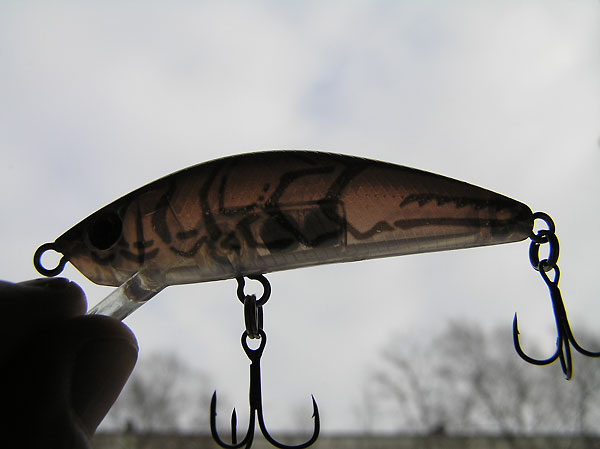 LX-Minnow 66