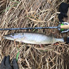 Отзыв о воблере Akara Sly 90SP