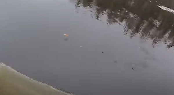 рыбалка на балтийского лосося