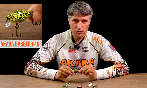обзор кренка Babbler