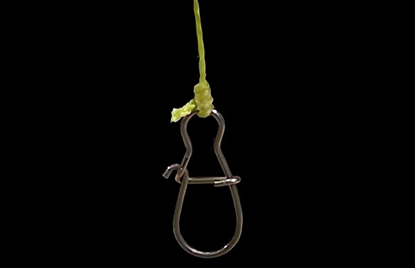 Knot Clinch