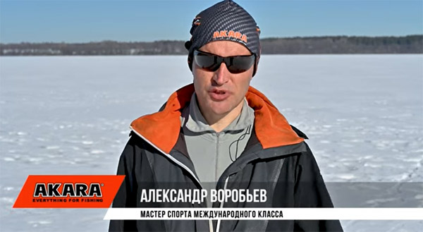 А. Воробьев эксперт