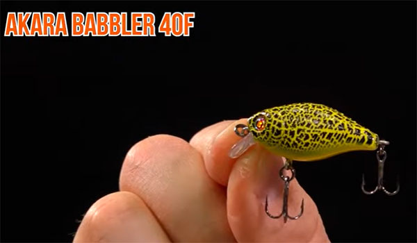 Babbler 40f