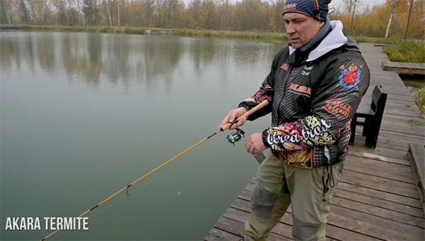 прудовая форель