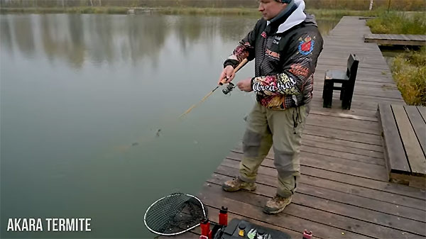 форель пруд