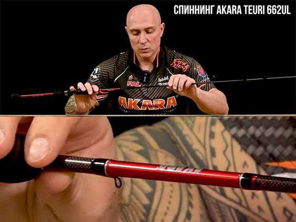  teuri akara
