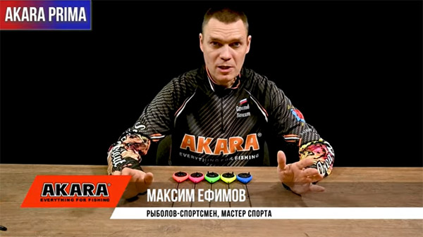 М. Ефимов обзор