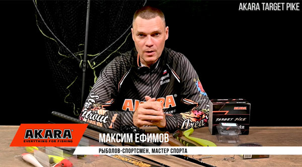 М. Ефимов эксперт