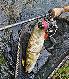 Спиннинг Akara trout el sport тест 0,5 - 4,5 гр