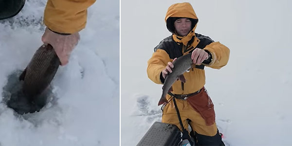 крупная рыба на мормышку