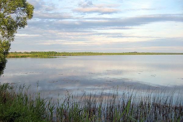 рыбалка в забродку