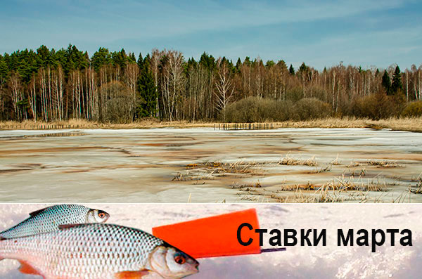 ставки на плотву март