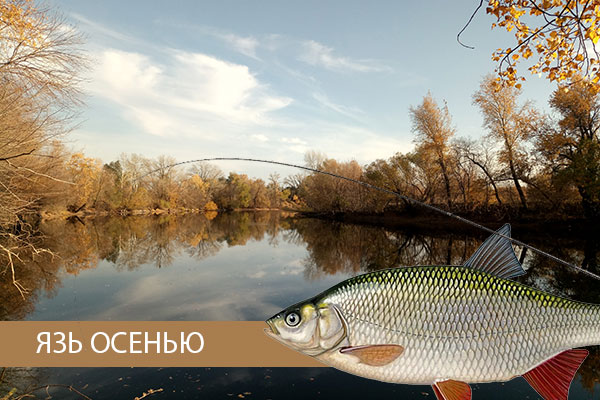 осенняя рыбалка