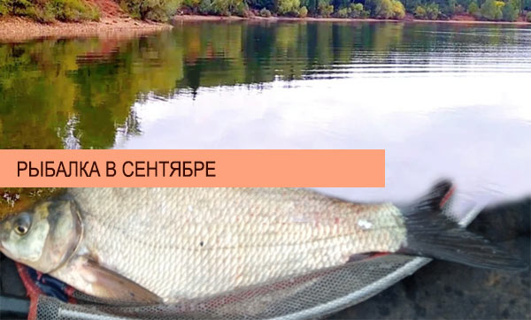 рыбалка сентябрь