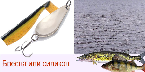 блесна или силикон