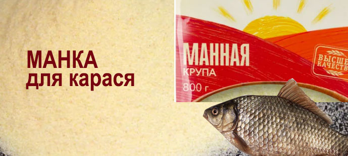 манка на карася