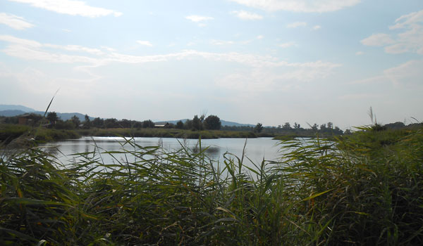 ловля в забродку