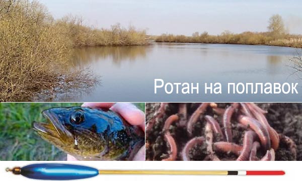 ротан на поплавок