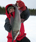 Термобелье Tagrider Arctic Fox
