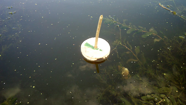 ловля кружками