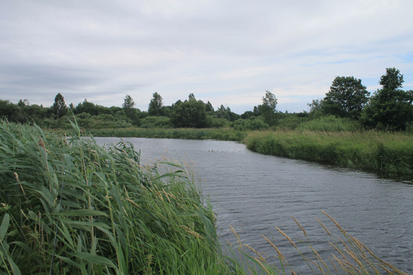рыбалка