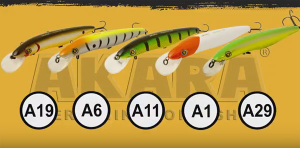 akara-predator 7b