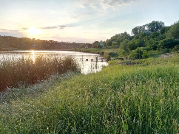карп платники