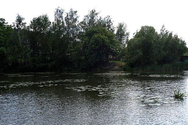 Ловля щуки