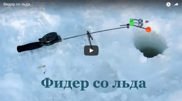зимний фидер видео