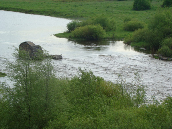 ловля голавля язя