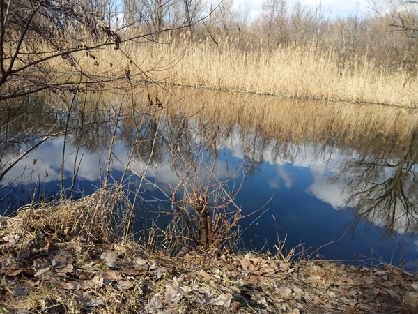 рыбалка на щуку весной