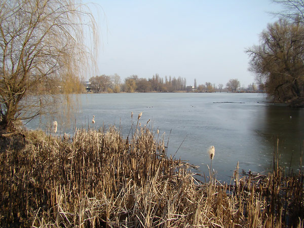 места ловли карася