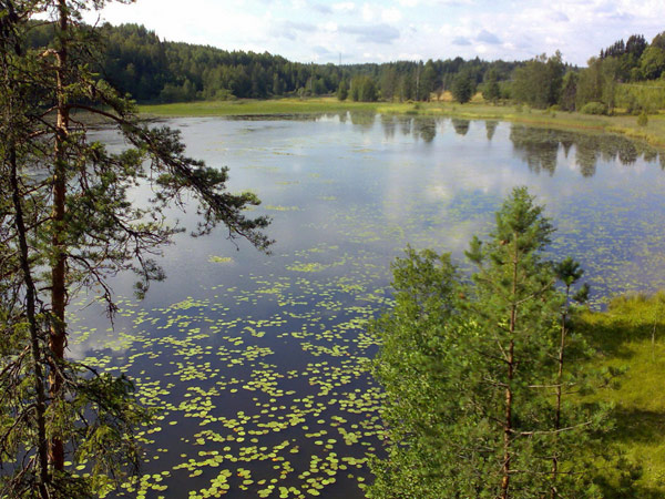 водоем карась