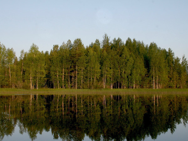 рыбалка на карася