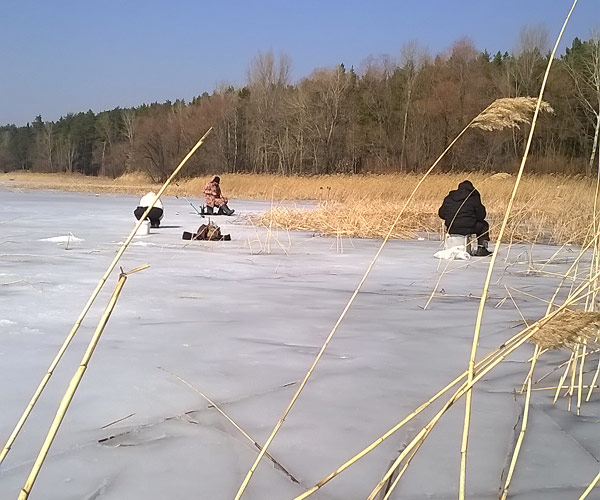 зимняя рыбалка
