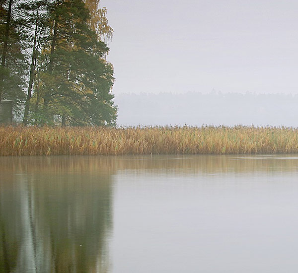 рыбалка