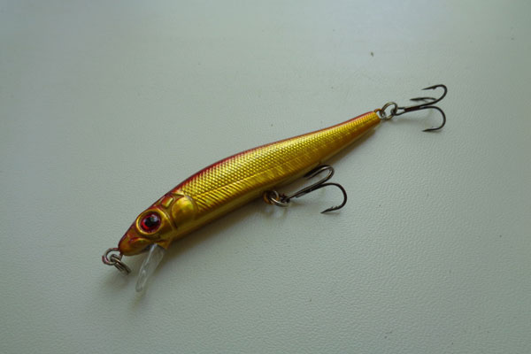 minnow 
