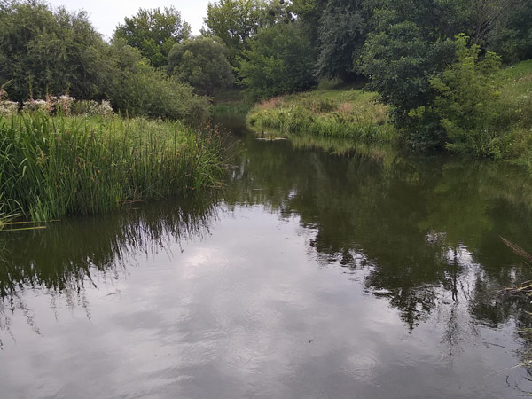 ловля пассивного окуня