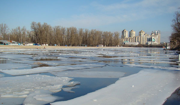 плотва весной